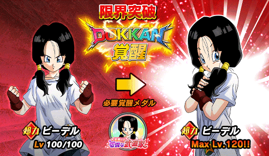 News - 超激戦イベント開催!! 天翔ける可憐な武道家 - Dragon Ball Z