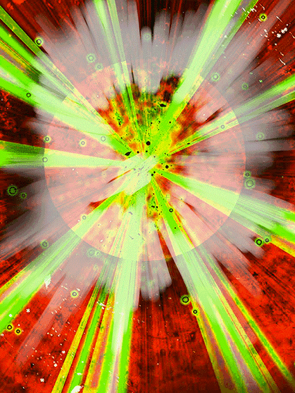 亀仙人(MAXパワー)