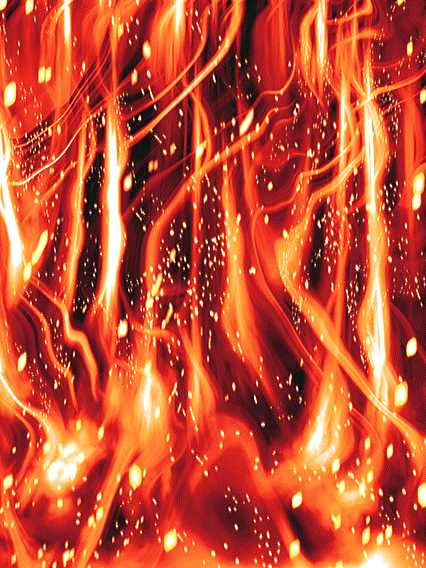 孫悟空(界王拳)