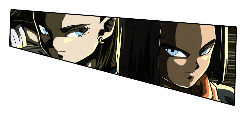 人造人間17号&18号