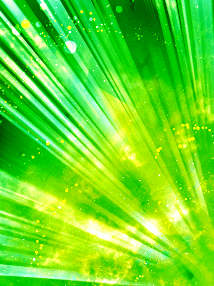 オボッチャマン