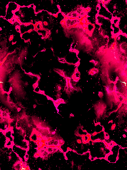 超サイヤ人2バーダック