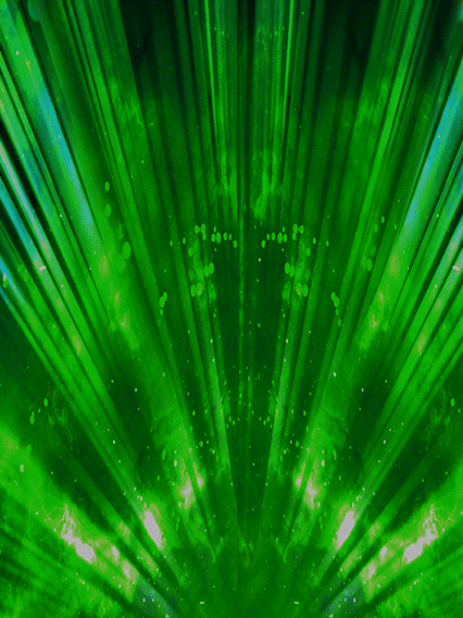 超サイヤ人孫悟空Jr.