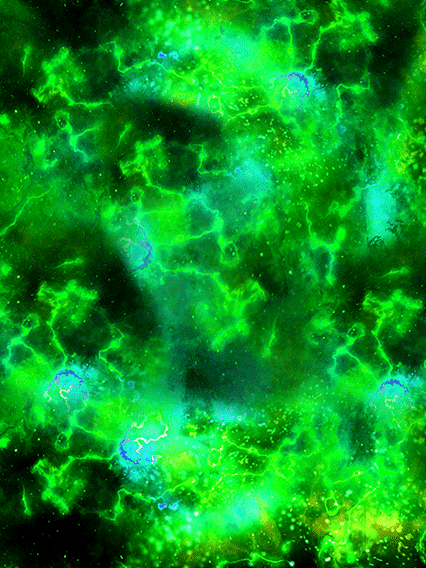 超サイヤ人ゴッドSSベジット