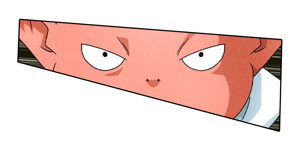 ビルス(モナカの着ぐるみ)