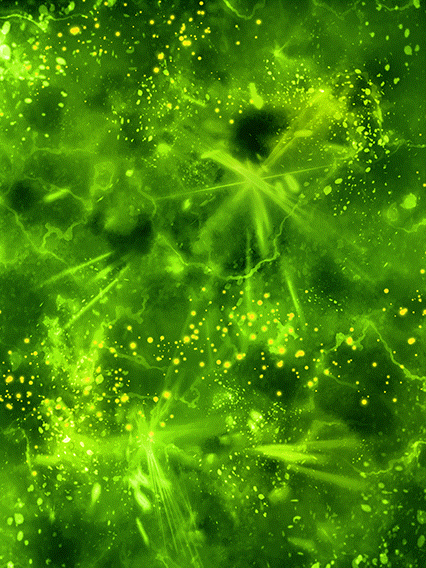 トランクス(青年期)