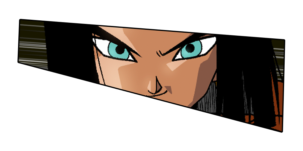 人造人間17号(未来)