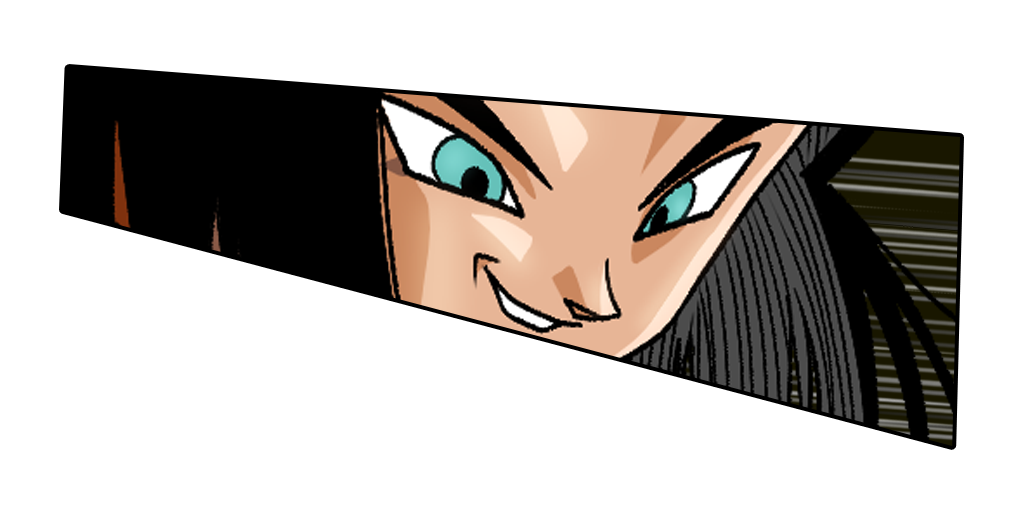 人造人間17号(未来)