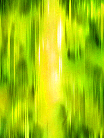 トランクス(青年期)(未来)