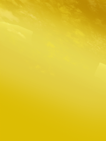 ブロリー(幼年期)