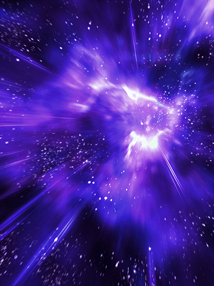 セル(第二形態)