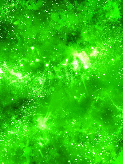 クリリン/ベジータ