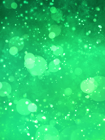 クリリン&孫悟飯(幼年期)