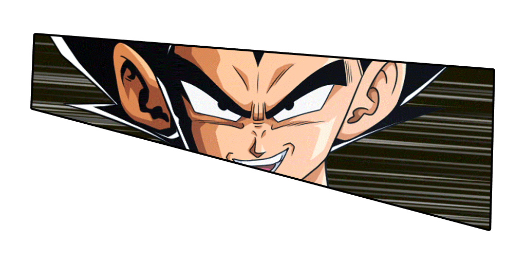 ベジータ/孫悟空