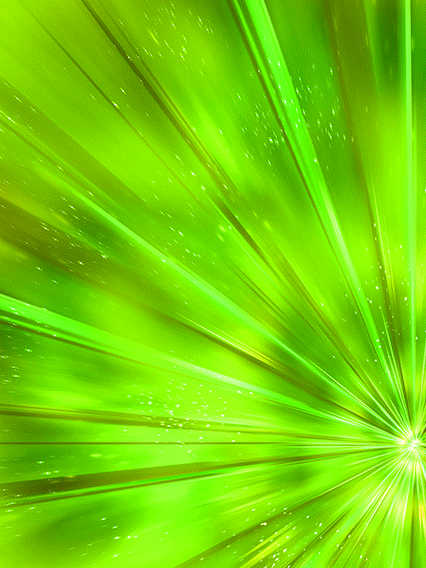 孫悟飯(青年期)