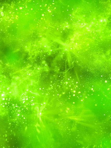 孫悟飯(青年期)&孫悟天(幼年期)