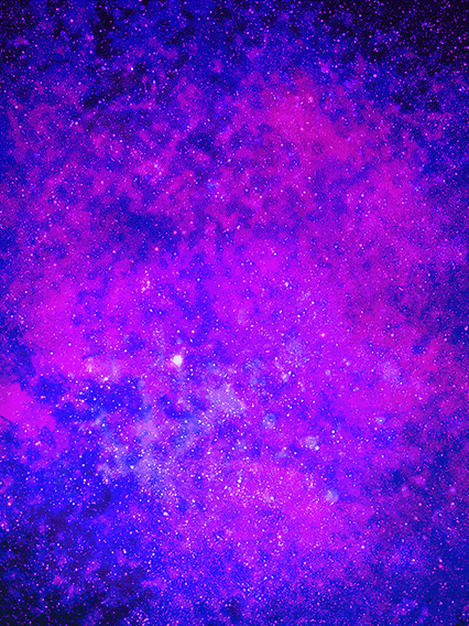 ベビー(幼生体)