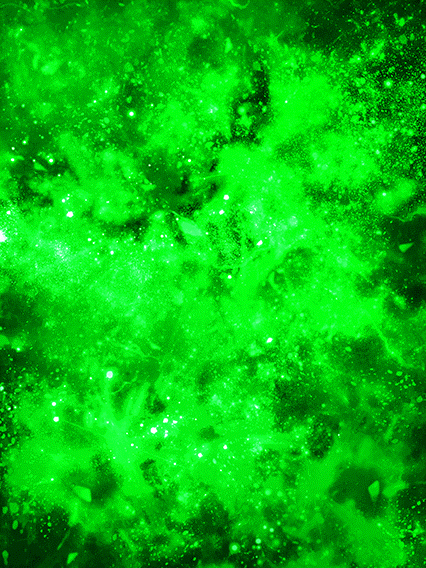 超サイヤ人孫悟天(幼年期)