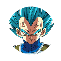 超サイヤ人ゴッドSSベジータ(暴走制御)