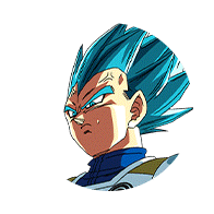 超サイヤ人ゴッドSSベジータ(暴走制御)