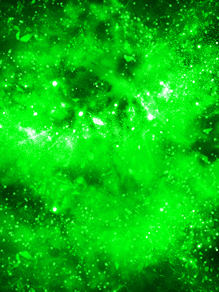 黒衣の戦士(超サイヤ人・暗黒ドラゴンボール強化)