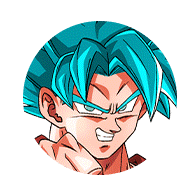 超サイヤ人ゴッドSS孫悟空(界王拳)