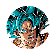 超サイヤ人ゴッドSS孫悟空+超サイヤ人ゴッドSSベジータ