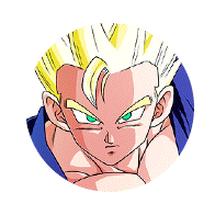 超サイヤ人孫悟飯(青年期)