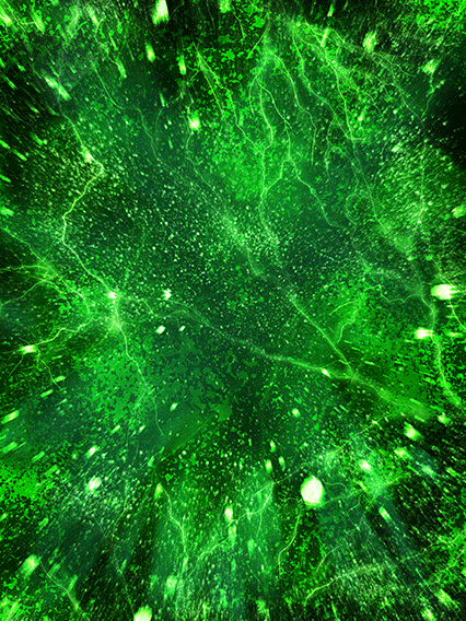 タマガミ・ナンバー・ツー