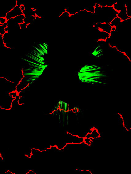 マジュニア(巨大化)