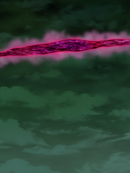 ゴクウブラック(超サイヤ人ロゼ)