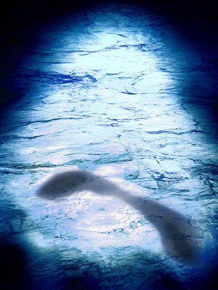 孫悟空(身勝手の極意)