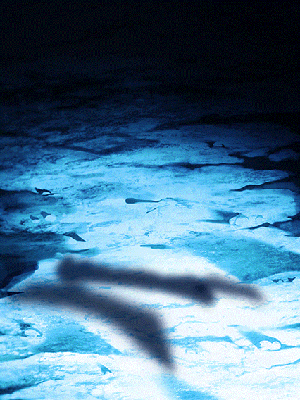 超サイヤ人孫悟飯(青年期)