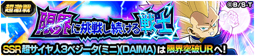 限界に挑戦し続ける戦士