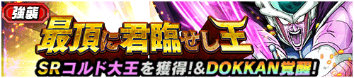 最頂に君臨せし王