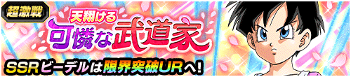 天翔ける可憐な武道家