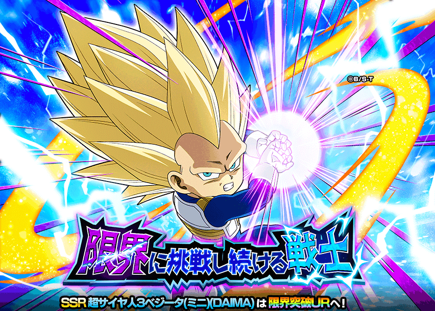 限界に挑戦し続ける戦士