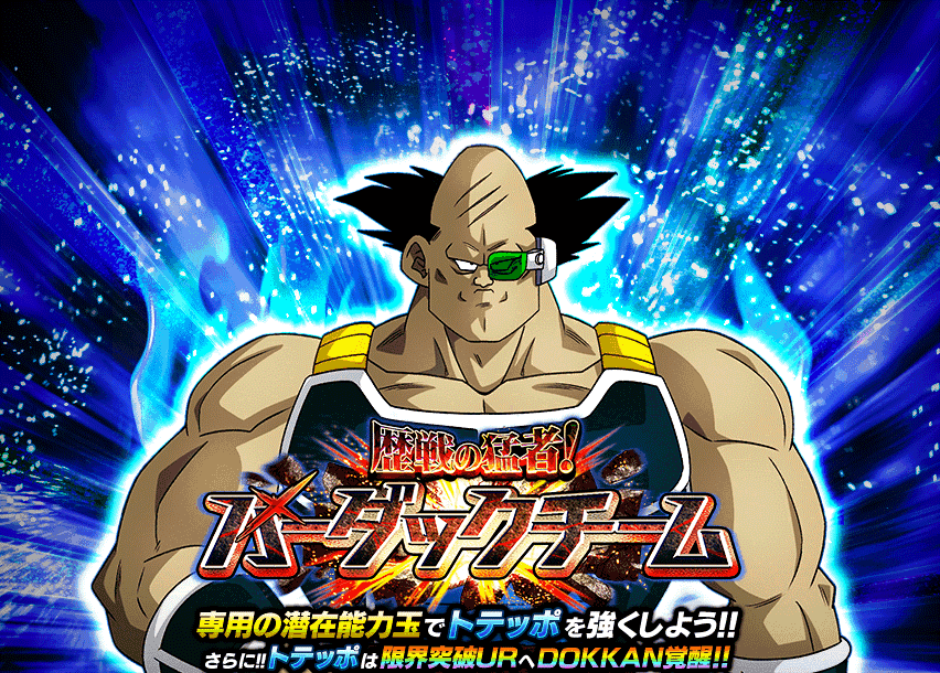 歴戦の猛者！バーダックチーム