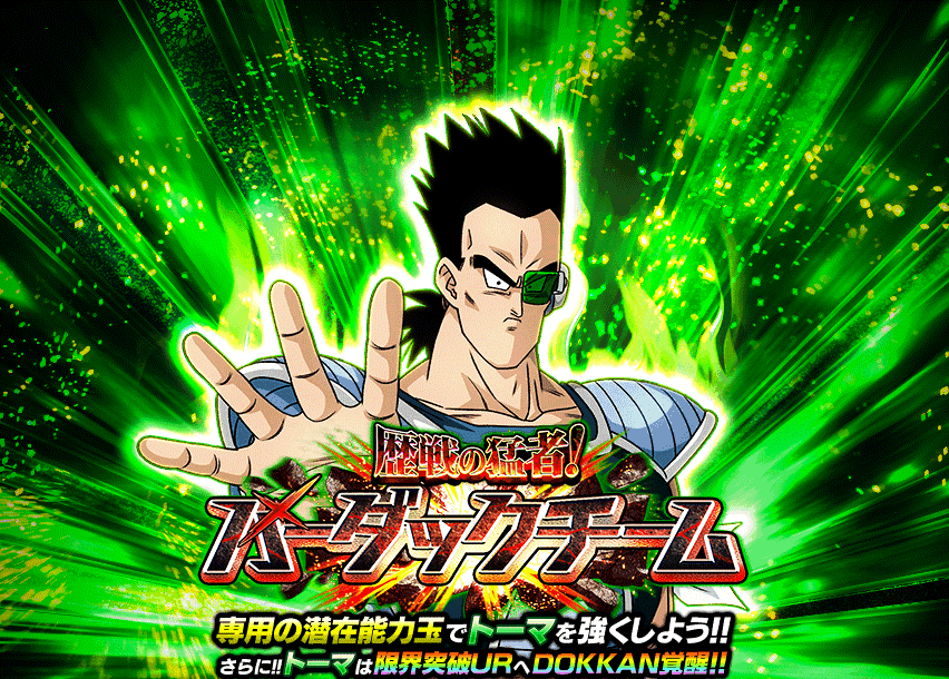 歴戦の猛者！バーダックチーム