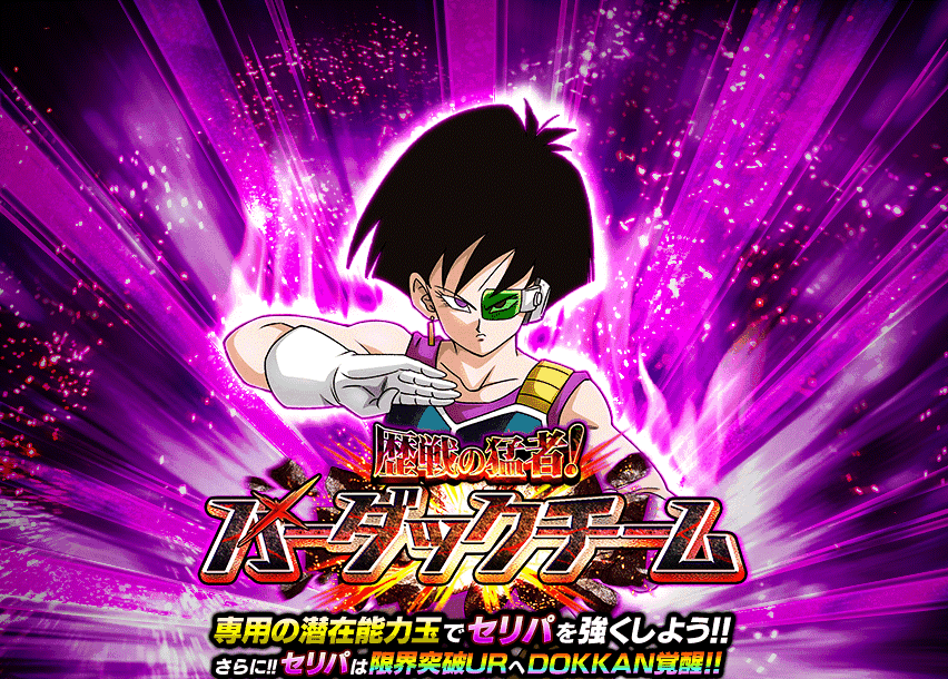 歴戦の猛者！バーダックチーム