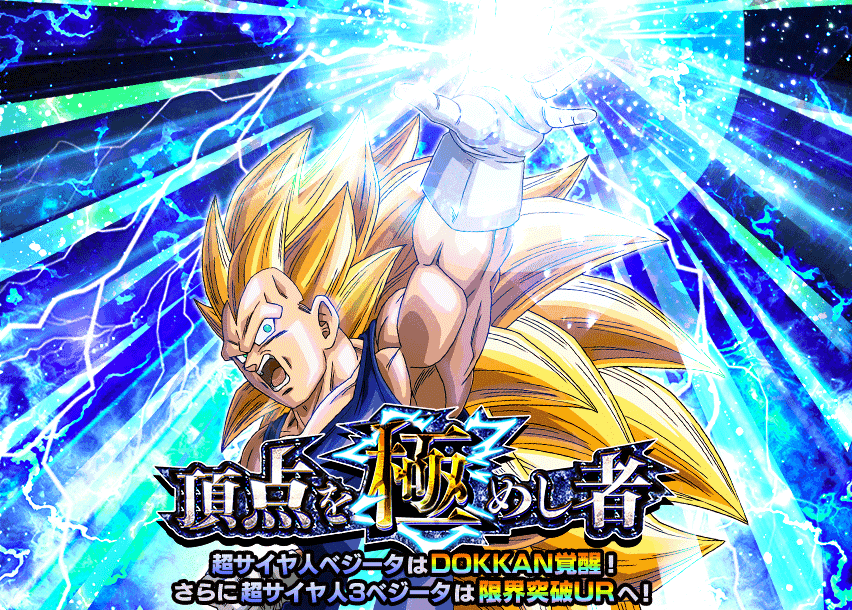 頂点を極めし者