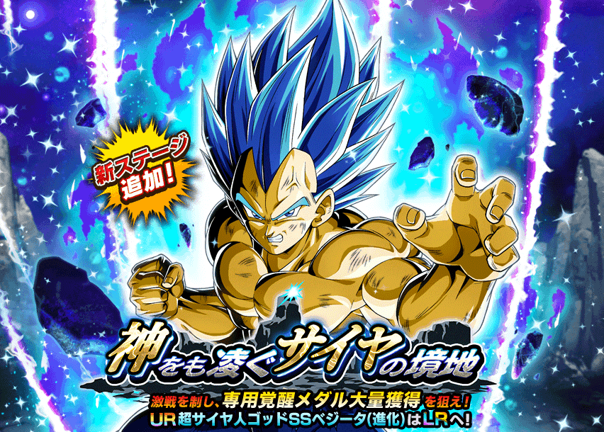 神をも凌ぐサイヤの境地