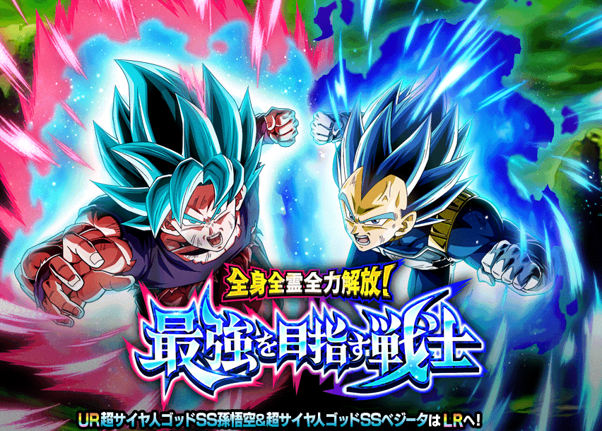 全身全霊全力解放！最強を目指す戦士