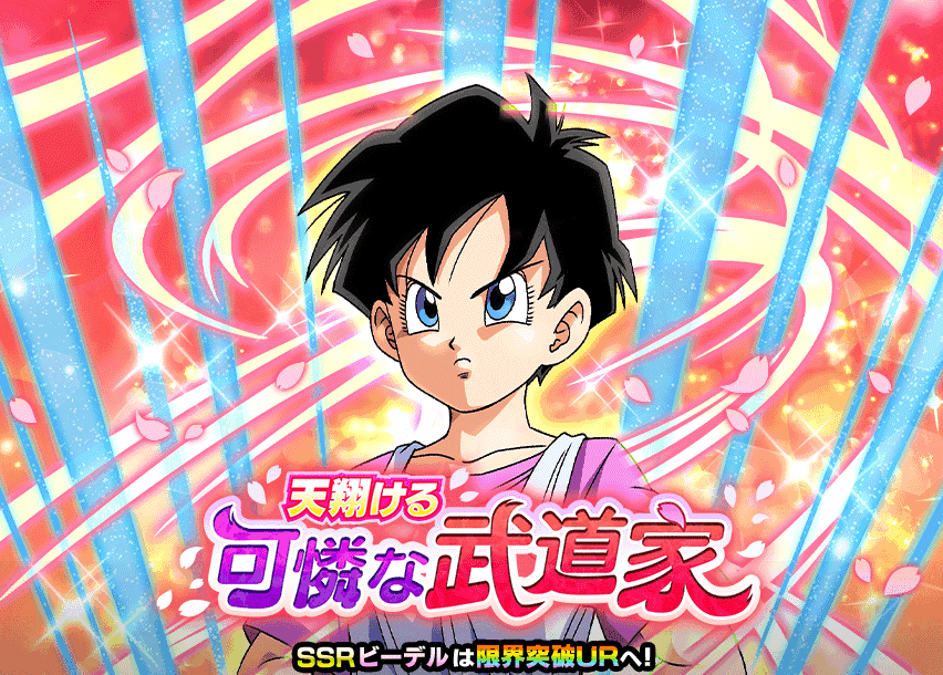 天翔ける可憐な武道家