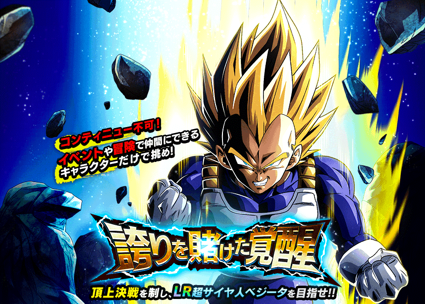 誇りを賭けた覚醒