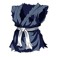 ご先祖さまの道着