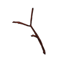 木の枝