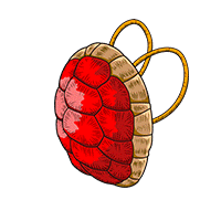 亀の甲羅(20K)[力]